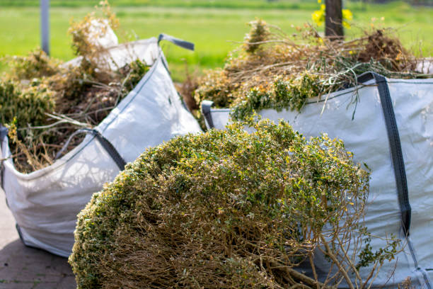 Best Attic Cleanout Services  in Palmetto Bay, FL